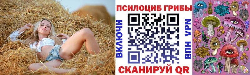 Галлюциногенные грибы Psilocybine cubensis кракен маркетплейс Снежинск